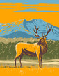 WPA poster art of an elk, Cervus canadensis or wapiti in the Rocky Mountain National Park in northern Colorado, United States USA done in works project administration style.