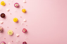 Top View Photo Of The Many Colorful Flowers With Branches Of Gypsophila And Pink Confetti In Shape Of Hearts Scattered On The Pastel Pink Isolated Background Copyspace