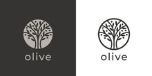 Olive Tree Logo. Extra Virgin Olive Oil Label Icon. Tree Of Life Symbol. Organic Branch Brand Identity. Plant Leaf Sign. Vector Illustration.