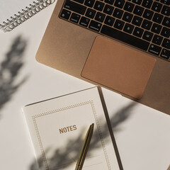 Wall Mural - Aesthetic luxury bohemian minimalist home office workspace desk. Laptop computer, notebook, pampas grass with sunlight shadows. Flat lay, top view work, business concept