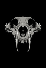 Wolf Skull Vector Artwork Illustration