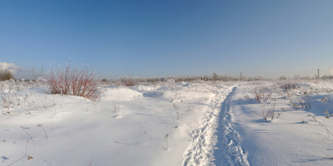 Sticker - Winter walk through forests and fields, beautiful panorama.