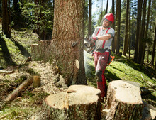 Young Logger Cutting Tree With Electric Saw In Forest