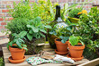 © Westend61 - Green potted herbs cultivated on balcony table