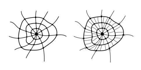 Spider web set on white background. Isolated hand drawn cobweb elements. Halloween decoration. Vector illustration.