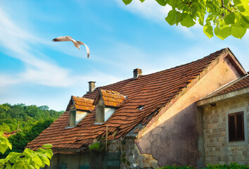 Wall Mural - Tiled roof of an old house