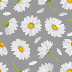 Wall Mural - camomile pattern. decorative template for textile design with herbal pictures white flowers buds dec