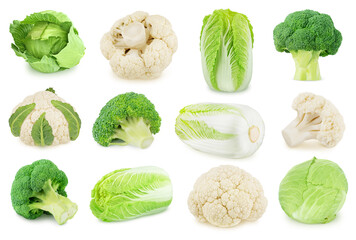 Wall Mural - Large set of fresh whole cauliflower with broccoli and Chinese cabbage isolated on a white background.