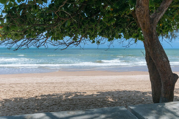 Wall Mural - View to a beautiful beach through the shades of a tree on a blue sky sunny day. Northeastern brazilian coast, Boa Viagem beach in Recife PE.