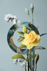 Wall Mural - yellow daffodil and spring foliage, botanical composition with circle on gray background, studio shot.