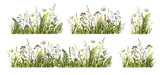 Fototapeta Sypialnia - Spring or summer colorful floral set with meadow wild herbs and flowers. Wild flowers.