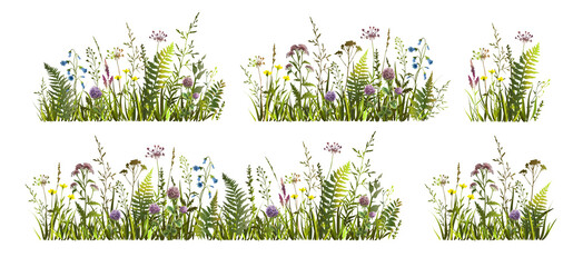 spring or summer colorful floral set with meadow wild herbs and flowers. wild flowers.