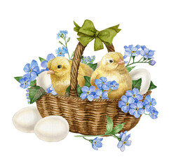 Watercolor easter basket with white egg and blue flowers, two baby chick bird. Spring easter postcard illustration.