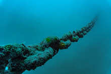 The Mooring Chain Of The Sattakut Wreck Off The Coast Of Koh Tao