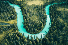 Aerial View Of A River Crossing The Forest Near Verkh-Uymonskoe, Altai Region, Russia.
