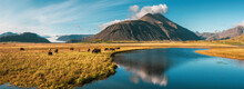 Beautiful, dramatic Iceland landscape with mountains reflections in a river, glacier and Icelandic horses, Europe