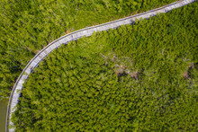 Aerial View Of A Footbridge Crossing The Marshland With Mangroves Plants, Vero Beach, Florida, United States.