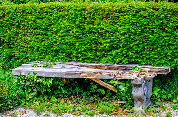 Canvas Print - old bench at a park