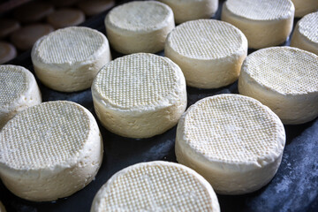 Closeup of beautiful fresh artisanal cheeses at a dairy farm in Minas Gerais, Brazil. Concept of food, healthy food, health, wellbeing, cooking, ingredient.