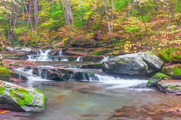 Wall Mural - Small cascades on the West Kill in autumn.Catskill Mountains.New York.USA