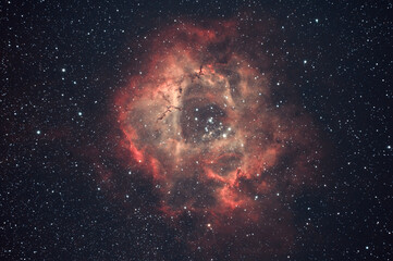 ngc 2244 - the rosette nebula