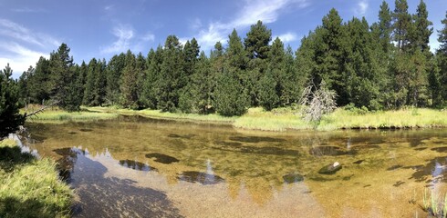 Wall Mural - survol d'un lac de montagne matemale et des forets dans les Pyrénées-Orientales, sud de la France, parc naturel des Bouillouses