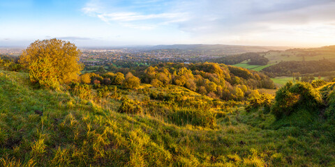 Wall Mural - Autumn trees on Leckhampton Hill, Cheltenham, The Cotswolds, Gloucestershire, England, United Kingdom, Europe