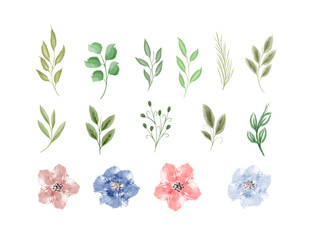 Sticker - Beautiful collection of leaves and flower watercolor