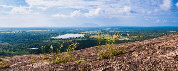 Wall Mural - Sri Lanka landscape, taken from Pidurangala Rock, North Central Province, Sri Lanka, Asia