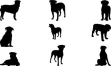 Rottweiler Dog Silhouettes PNG SVG EPS Rottweiler Dog Vector Rottweiler Dog Clipart