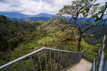 Wall Mural - Mashpi Cloud Forest 26m tall observation tower, Choco Rainforest, Ecuador, South America