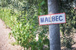 Malbec sign at a vineyard Bodega (winery) in the Maipu wine region of Mendoza, Mendoza Province, Argentina, South America