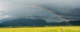 Fototapeta Tęcza - Rainbow over the Carpathian Mountains near Bran, Transylvania, Romania