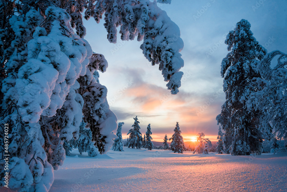 Beautiful winter wonderland landscape with snow covered trees and