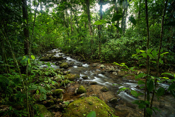 Wall Mural - Burio River (Rio Burio), La Fortuna, Arenal, Alajuela Province, Costa Rica