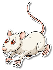 Poster - A white rat animal cartoon sticker