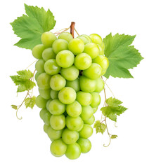 Wall Mural - Sweet Green grape isolated on white, Japanese Shine Muscat Grape isolated on white background With clipping path