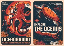Octopus, Squid, Sea Turtle And Crab Retro Vector Posters Of Oceanarium. Ocean Animals, Mollusk, Marine Reptile And Crustacean, Corals And Bubbles, Underwater Zoo Or Aquarium Invitation Flyers