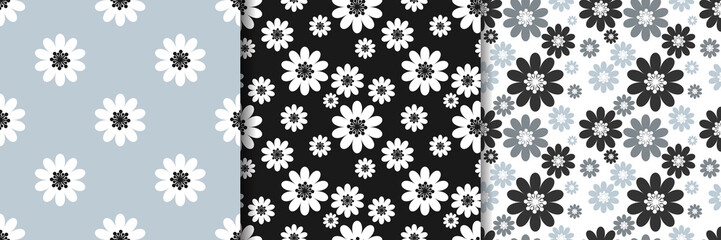 Wall Mural - Set of cute seamless pattern of white daisies flowers. Vector illustration.