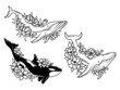 Set of floral whale. Collection of different whale and orca with flower wreath. Zoological. Sea creature. Vector illustration  of ocean mammals.