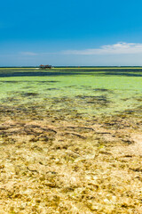 Wall Mural - Watamu Bay Beach and the turquoise water of the Indian Ocean, Watamu, Kilifi County, Kenya