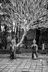 Wall Mural - Black and White Photo of Guardian Stone Statues at The Tomb of Tu Duc, Hue, Vietnam, Southeast Asia