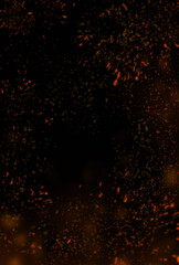 Wall Mural - close up of charcoal burning in fireplace