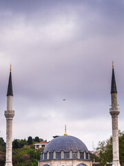 Wall Mural - Mosque minarets seen from the Bosphorus Strait, Istanbul, Turkey, Eastern Europe