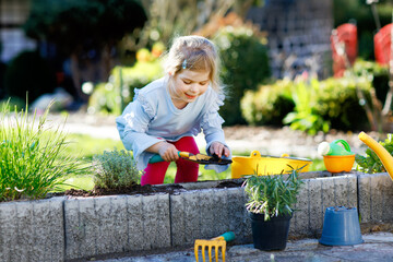 Wall Mural - Adorable little toddler girl holding garden shovel with green plants seedling in hands. Cute child learn gardening, planting and cultivating vegetables herbs in domestic garden. Ecology, organic food.