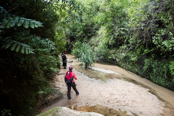 Wall Mural - Tourists walking through a canyon in Isalo National Park, Ihorombe Region, Southwest Madagascar