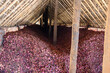 A structure used to dry onions near Lake Eyasi in Tanzania. 
