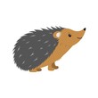 funny smiling standing hedgehog from side isolated on white background, cute vector illustration for children and kids