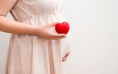 Copyspace banner with pregnant woman holding a heart. Motherhood concept. Copyspace banner.