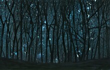 Trees In The Forest. Acrylic Painting, Dark Forest. Blue Starry Sky And Tree Silhouettes. Forest View At Night.